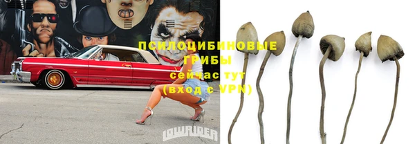 альфа пвп Арсеньев